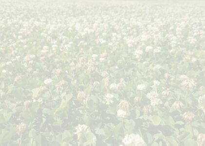 Honing als landschapsindicator