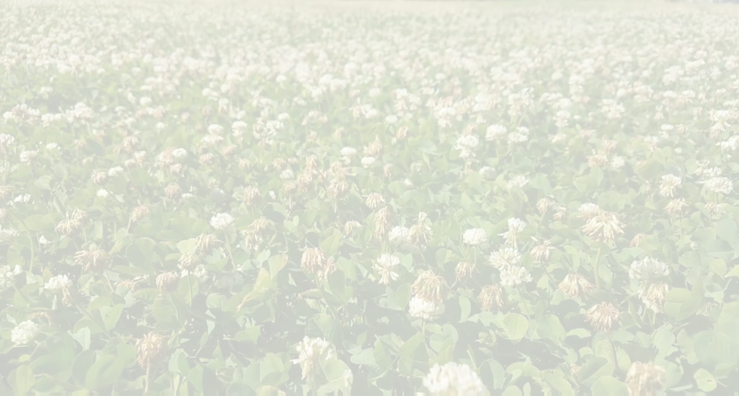 Honing als landschapsindicator