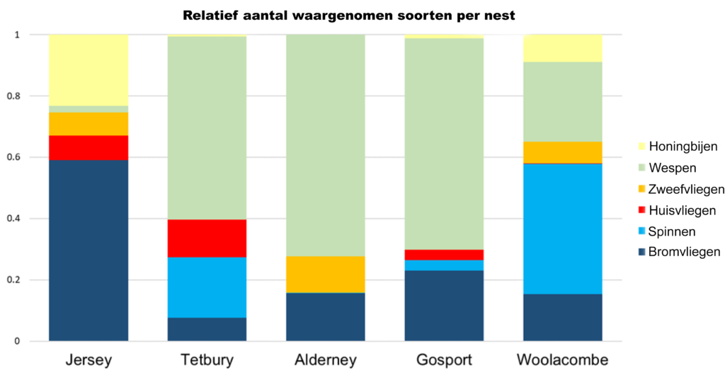 prooien-aziatische-hoornaar-uk