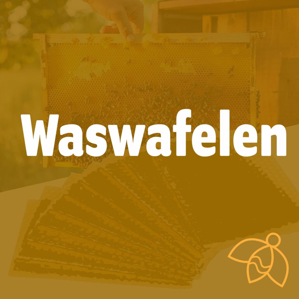 wasraten wafelen