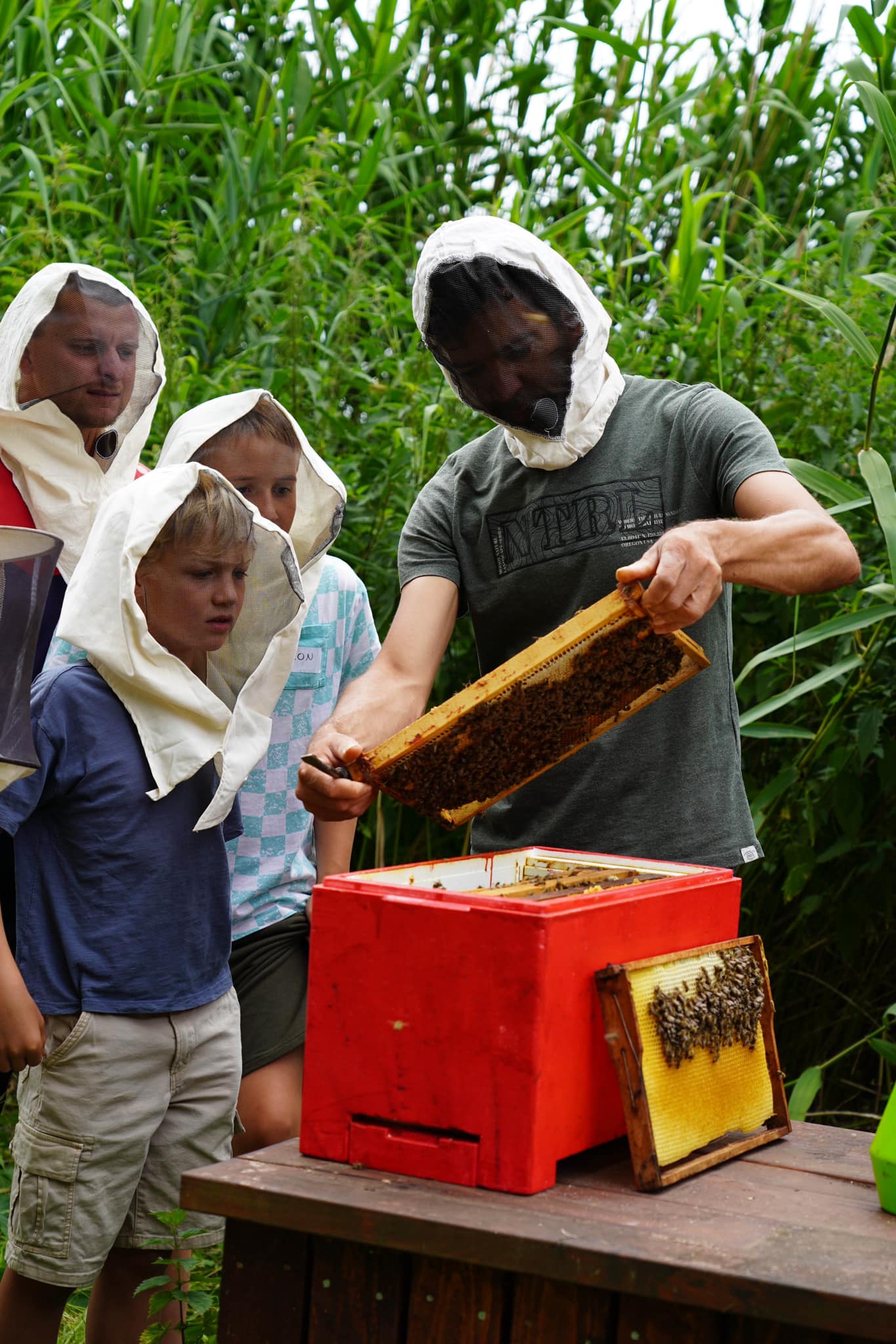 Laat je kinderen kennis maken met bijen