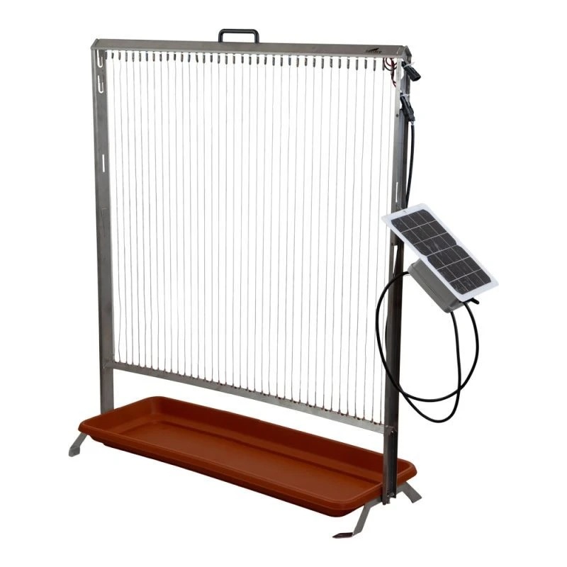 elektrische-harp-aziatische-hoornaar